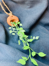 Load image into Gallery viewer, Trailing Paper Plant in hanging terracotta pot.