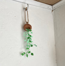 Load image into Gallery viewer, Trailing Paper Plant in hanging terracotta pot.
