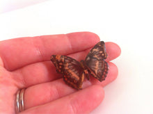 Load image into Gallery viewer, Butterfly brooch Enamel Butterfly Pin Realistic butterfly brooch Small Brooch Early 90s Vintage Brooch, Dark Butterfly Jewelry Copper Insect
